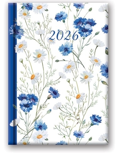 Kalendarz książkowy dzienny B6 BŁAWATKI