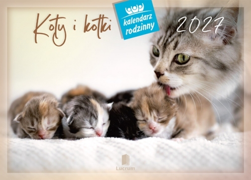 KOTY I KOTKI