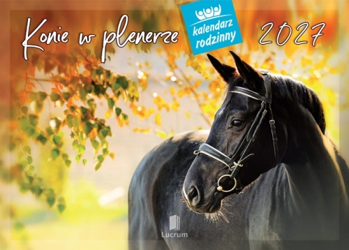 KONIE W PLENERZE