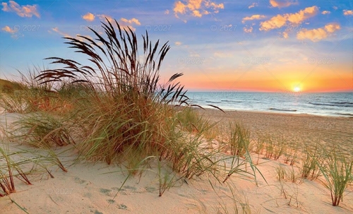 Jednodzielne PLAŻA