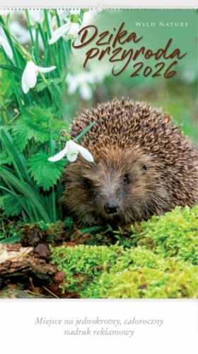 DZIKA PRZYRODA