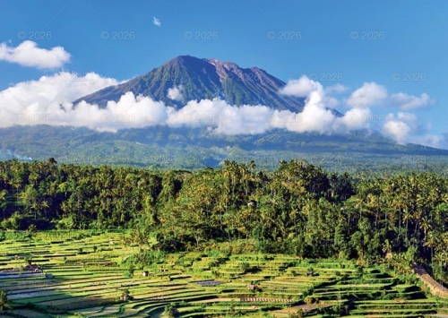 PODRÓŻE PO KONTYNENTACH