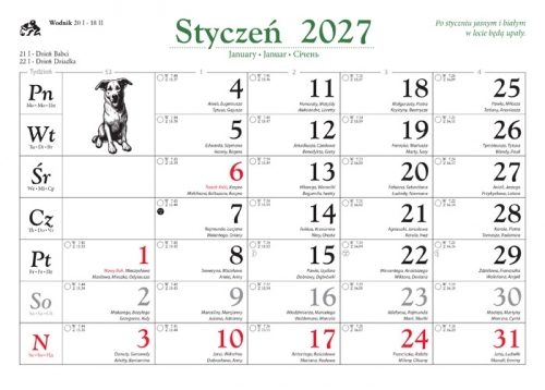 PSY i PIESKI